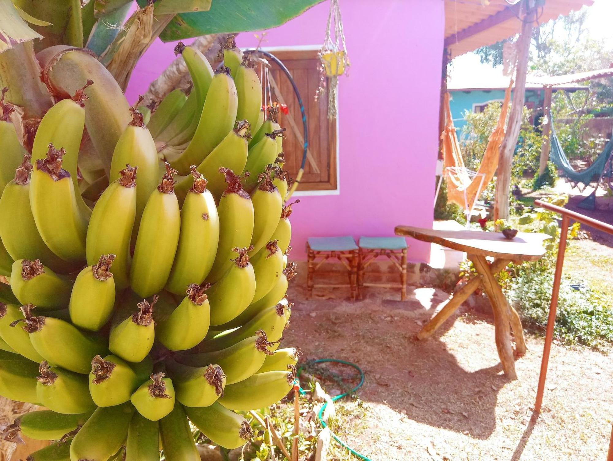 Villa Agape - Chapada Dos Veadeiros Alto Paraiso de Goias Luaran gambar